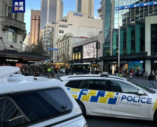 国产精品视频你懂的网址
